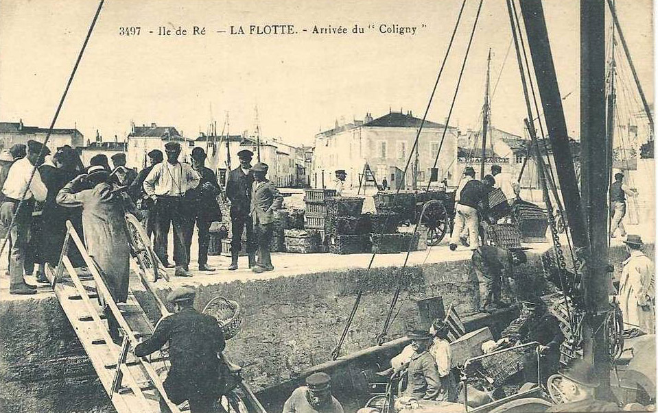 Port du village de la flotte, dans l'île de Ré, au début du siècle.